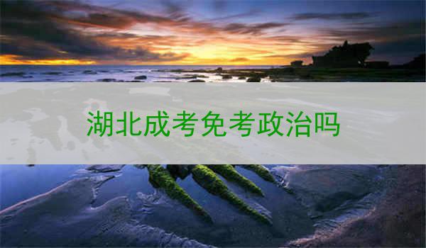 湖北成考免考政治吗