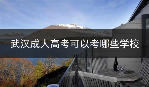 武汉成人高考可以考哪些学校