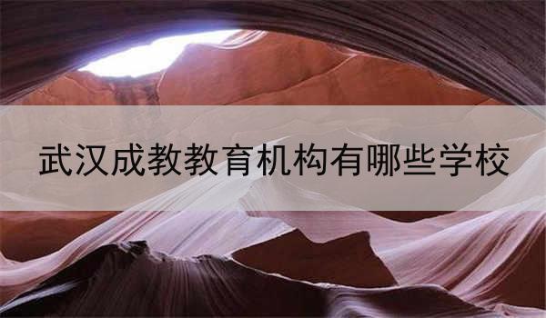 武汉成教教育机构有哪些学校