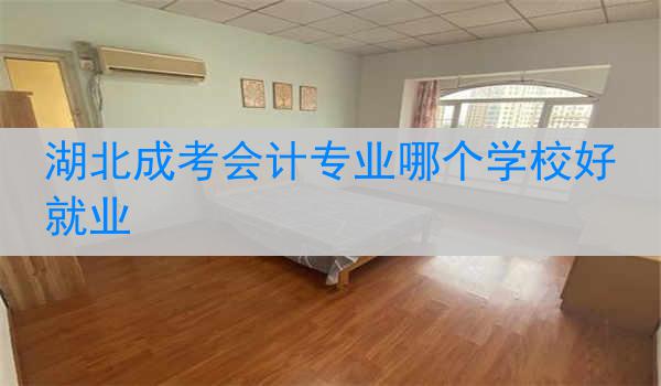 湖北成考会计专业哪个学校好就业