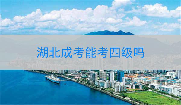 湖北成考能考四级吗