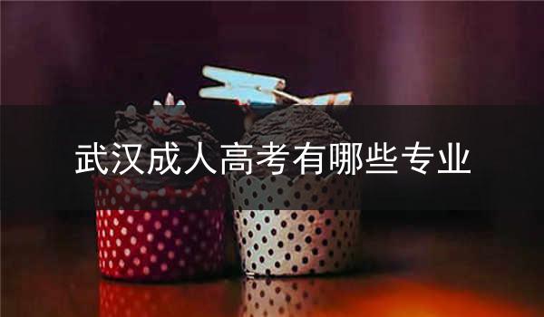 武汉成人高考有哪些专业