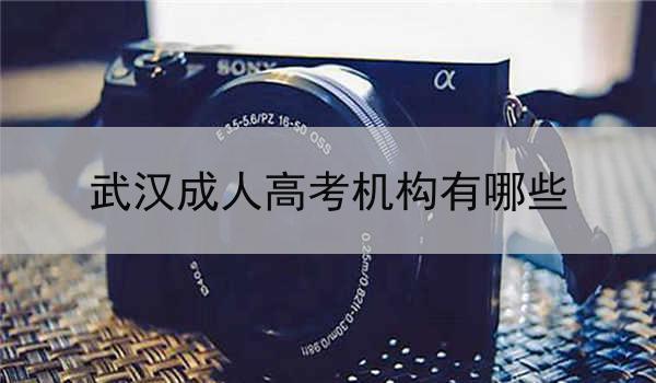 武汉成人高考机构有哪些