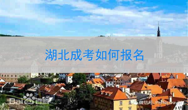 湖北成考如何报名