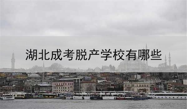 湖北成考脱产学校有哪些