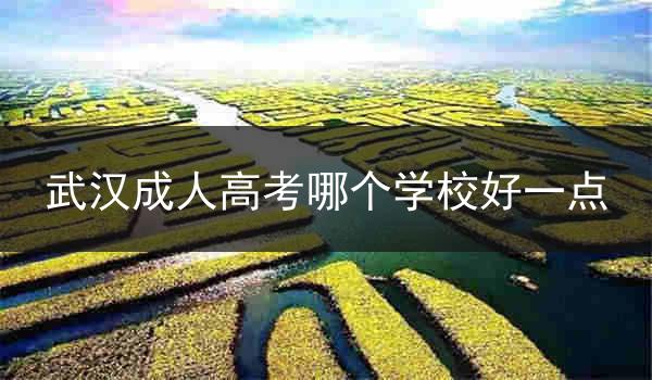 武汉成人高考哪个学校好一点