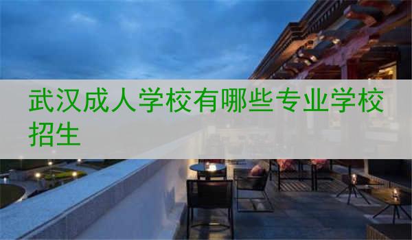 武汉成人学校有哪些专业学校招生