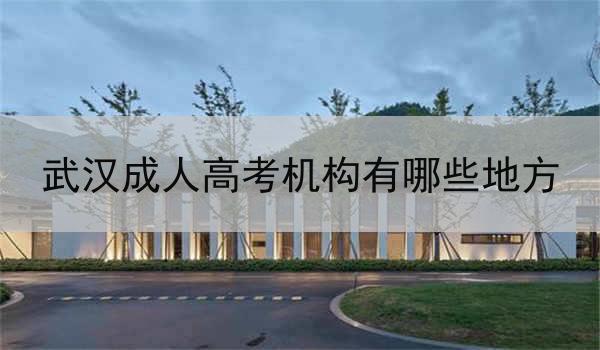 武汉成人高考机构有哪些地方