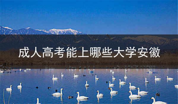 成人高考能上哪些大学安徽