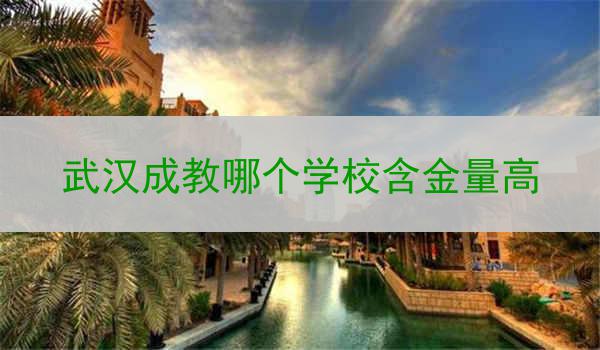 武汉成教哪个学校含金量高