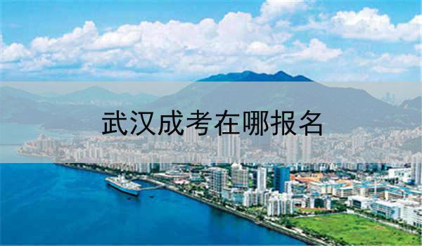 武汉成考在哪报名