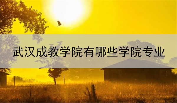 武汉成教学院有哪些学院专业