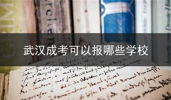 武汉成考可以报哪些学校