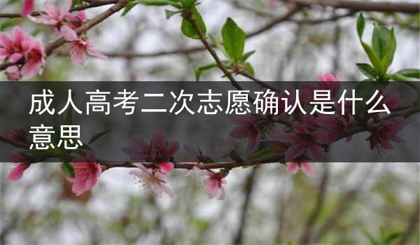 成人高考二次志愿确认是什么意思