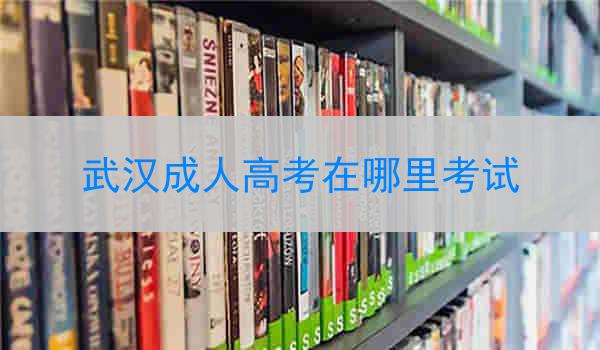 武汉成人高考在哪里考试