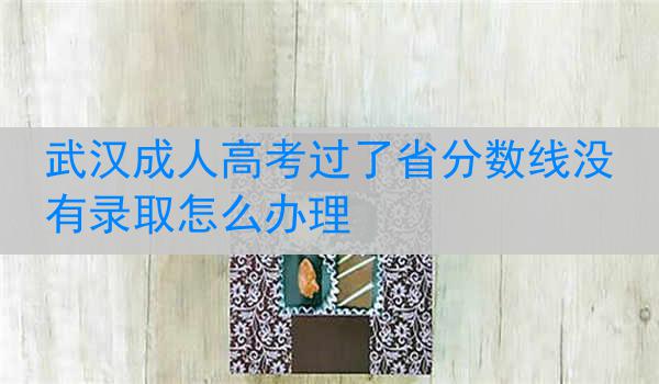 武汉成人高考过了省分数线没有录取怎么办理