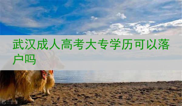 武汉成人高考大专学历可以落户吗