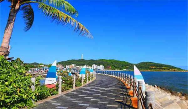 成人高考能考编吗