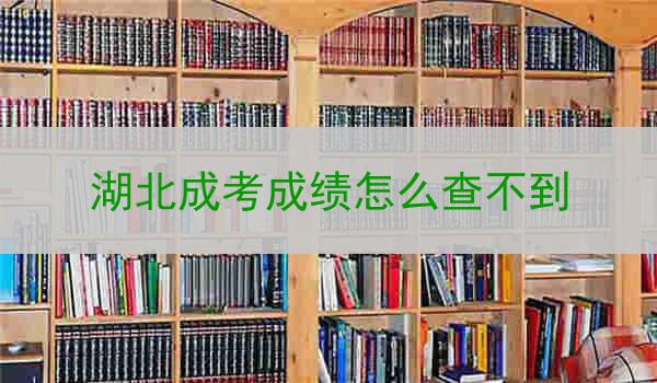 湖北成考成绩怎么查不到