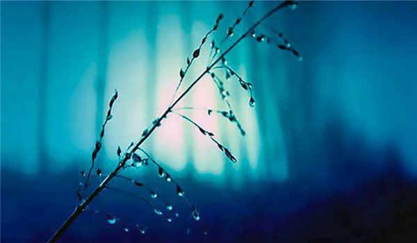 成人高考软件哪个好