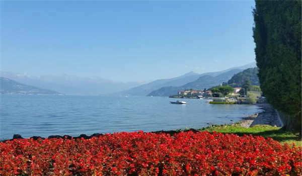 武汉成教哪个学校好考一点