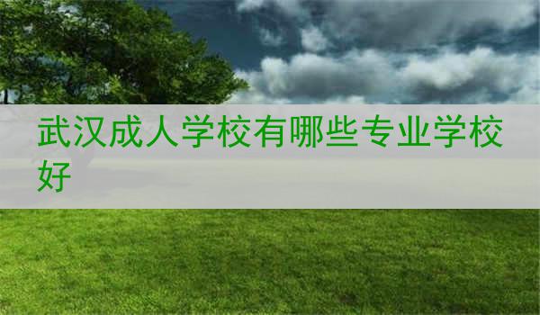 武汉成人学校有哪些专业学校好