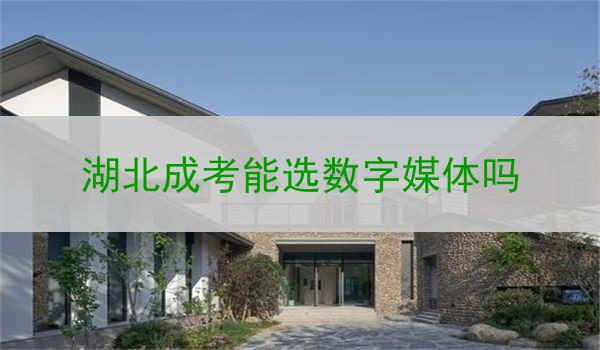 湖北成考能选数字媒体吗