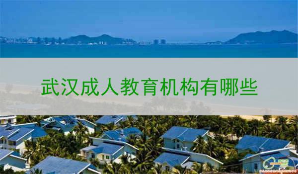 武汉成人教育机构有哪些