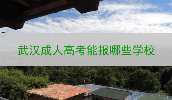 武汉成人高考能报哪些学校
