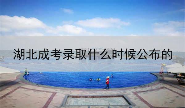 湖北成考录取什么时候公布的