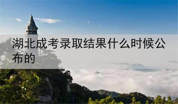 湖北成考录取结果什么时候公布的