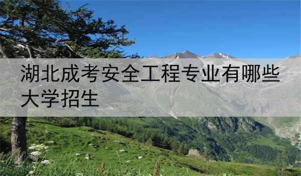 湖北成考安全工程专业有哪些大学招生