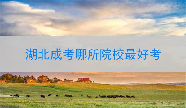 湖北成考哪所院校最好考
