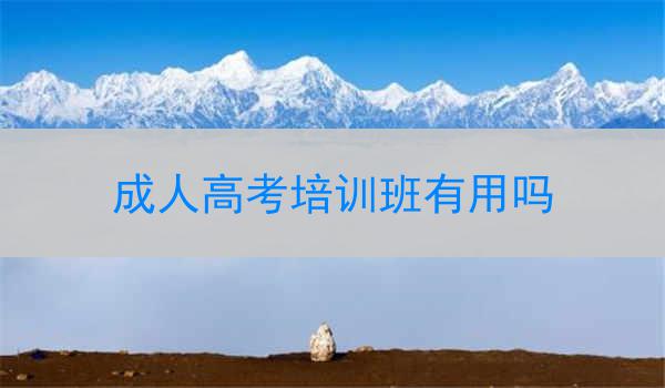 成人高考培训班有用吗