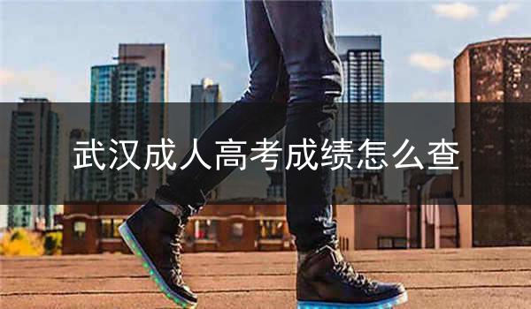 武汉成人高考成绩怎么查