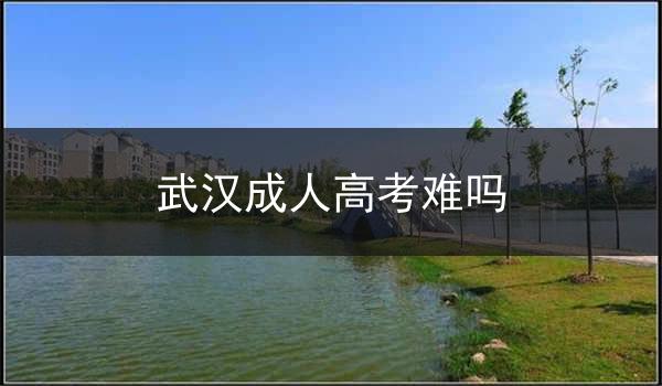 武汉成人高考难吗