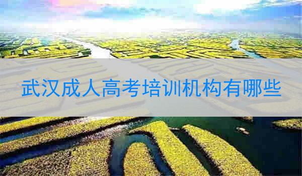 武汉成人高考培训机构有哪些