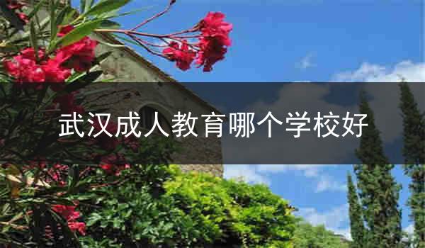 武汉成人教育哪个学校好