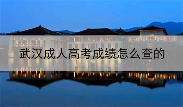 武汉成人高考成绩怎么查的