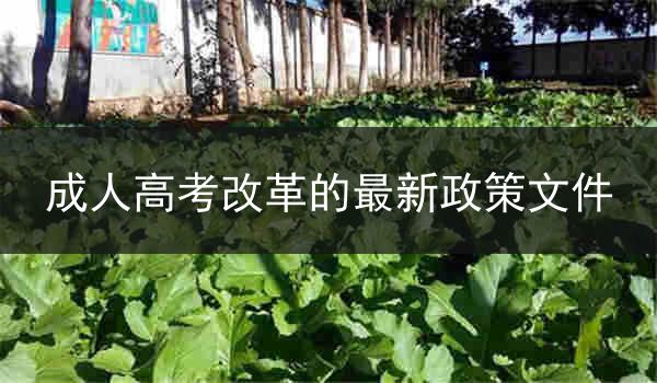 成人高考改革的最新政策文件