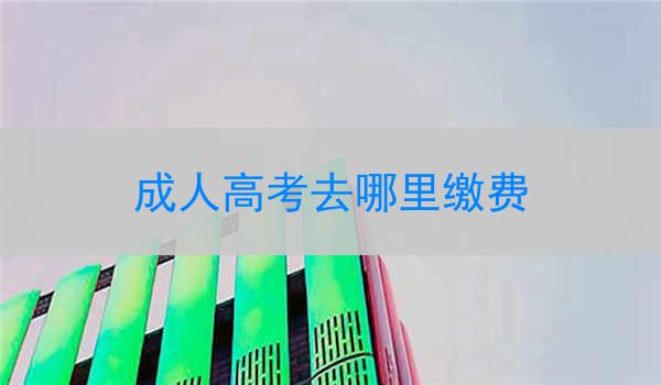 成人高考去哪里缴费