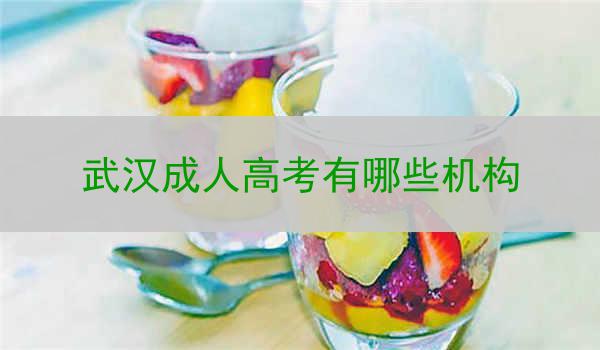 武汉成人高考有哪些机构