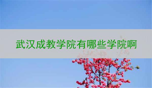 武汉成教学院有哪些学院啊