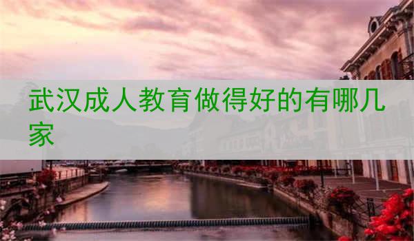 武汉成人教育做得好的有哪几家
