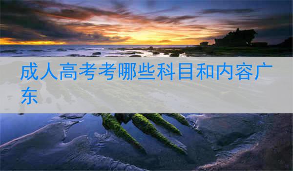 成人高考考哪些科目和内容广东