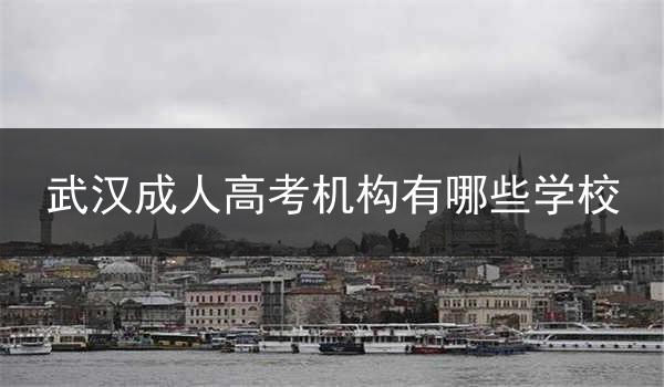 武汉成人高考机构有哪些学校