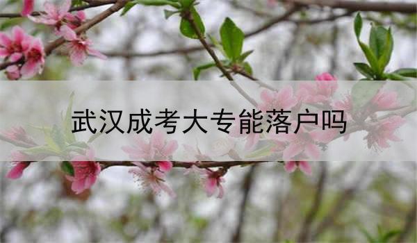 武汉成考大专能落户吗