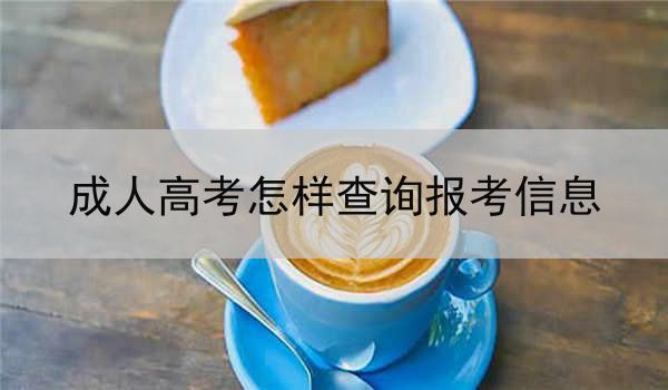 成人高考怎样查询报考信息