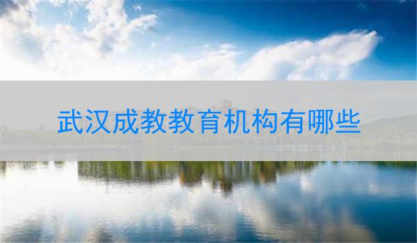 武汉成教教育机构有哪些