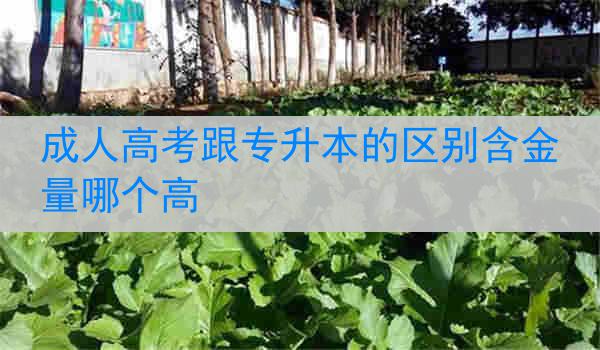 成人高考跟专升本的区别含金量哪个高